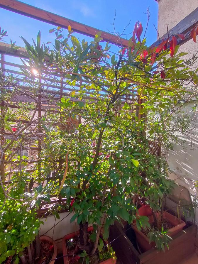מילאנו Lovely Gazebo מראה חיצוני תמונה